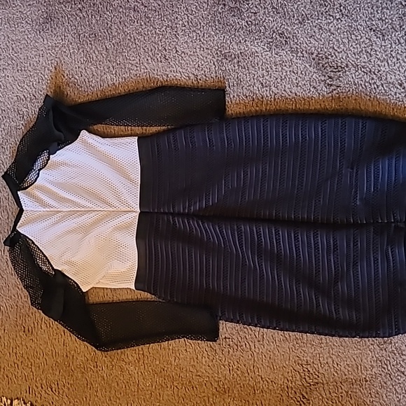 Black and White Mesh Dress - Picture 4 of 4